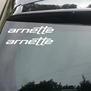 2x Arnette Surf Logo Car/Van/Window Decal Sticker